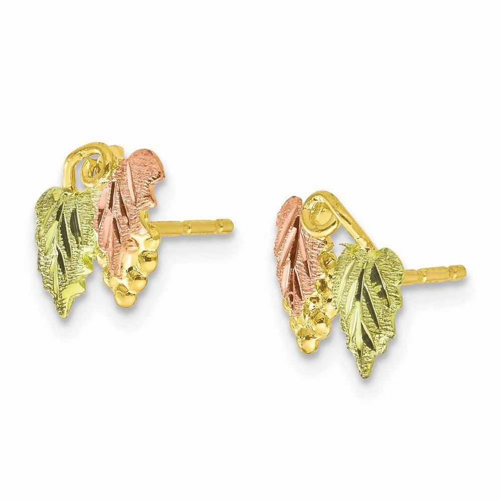 10k Tri-color Black Hills Gold Post Earrings