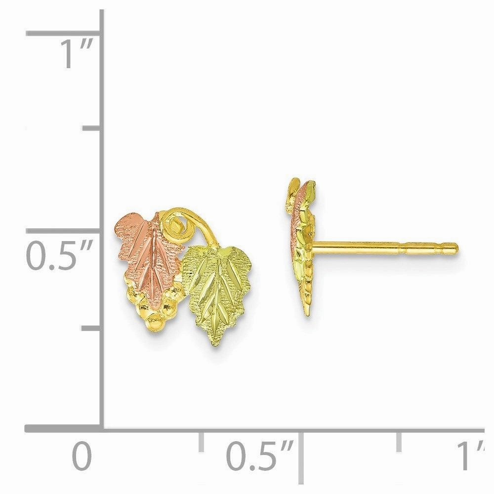10k Tri-color Black Hills Gold Post Earrings