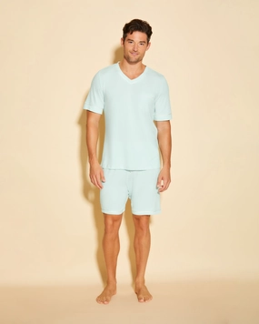 Men's Short Sleeve Top & Shorts Pajama Set