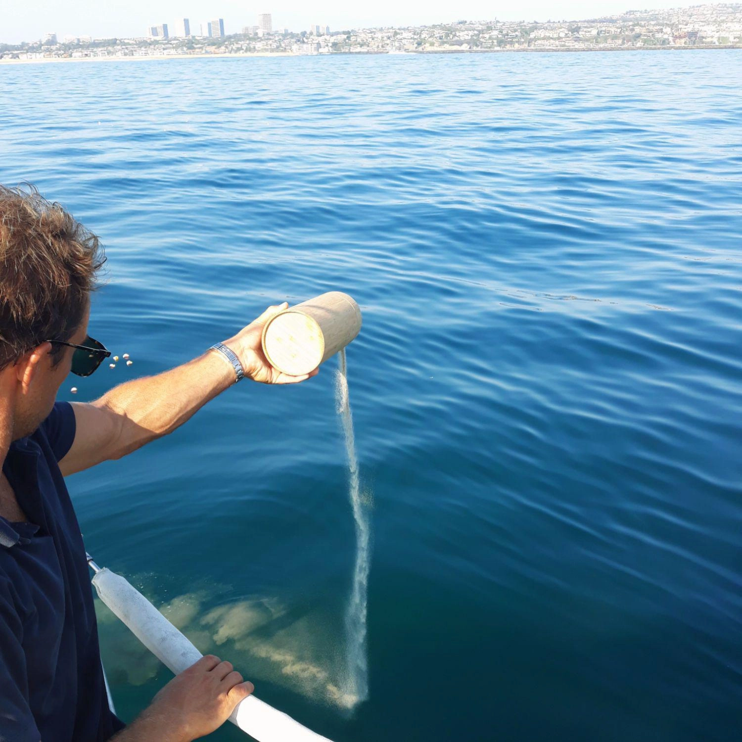 Newport Beach Ash Scattering Service