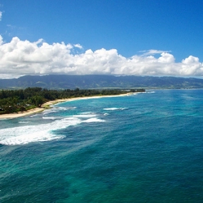 Off the Coast of Laniakea Beach (Turtle Beach)